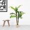 48-Inch Artificial Banana Palm Tree - Lush Faux Tropical Plant for Stylish Home or Office Decor, Floral Home by Artificial Flowers